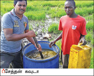 பஞ்சகவ்யா! - 23 - உலகம் சுற்றும் பஞ்சகவ்யா!