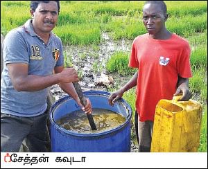 பஞ்சகவ்யா! - 23 - உலகம் சுற்றும் பஞ்சகவ்யா!