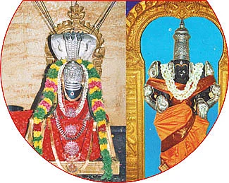 மங்கல வாழ்வு தரும் மாசி மக தரிசனம்!