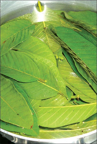 வெயிலை விரட்டலாம்... உடலை உறுதியாக்கலாம்... தண்ணீரே மருந்து!
