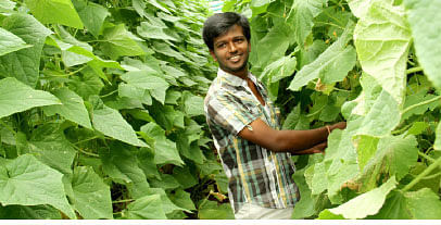 25 சென்ட் நிலத்தில், ஒரு ஏக்கர் மகசூல்...