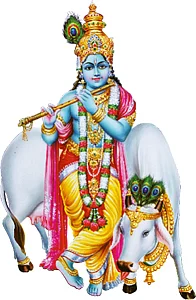 வாசகர் தகவல்கள்