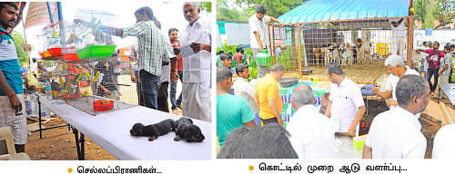 ‘இயற்கை விவசாயமே சிறந்தது!’