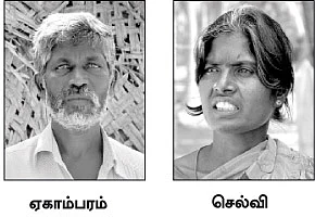 கள்ளிச்செடியால் கண் பறிபோனதா..?