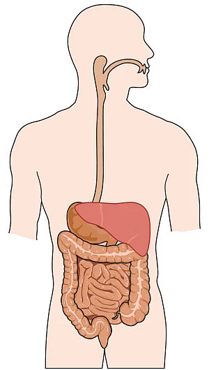 இனி எல்லாம் சுகமே - 1