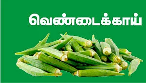 உணவு நல்லது வேண்டும்!