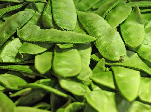 நலம் தரும் நாட்டுக்காய்கள்