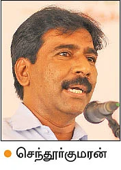 தக்காளி... பூச்சி மற்றும் நோய் மேலாண்மை!