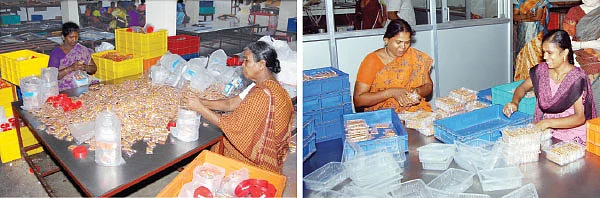SME கைடுலைன்!