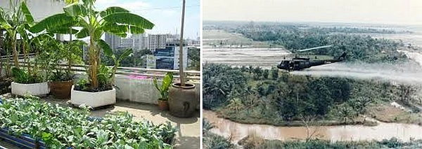 'நகர வாழ்க்கையே பொய்யானது..!' - காரணம் சொல்லும் 'ஆடுகளம்' கிஷோர்!