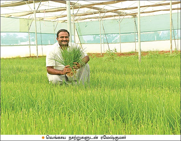 கைகொடுக்கும் காய்கறிச் சாகுபடி... வருமானம் தரும் நாற்று வளர்ப்பு...