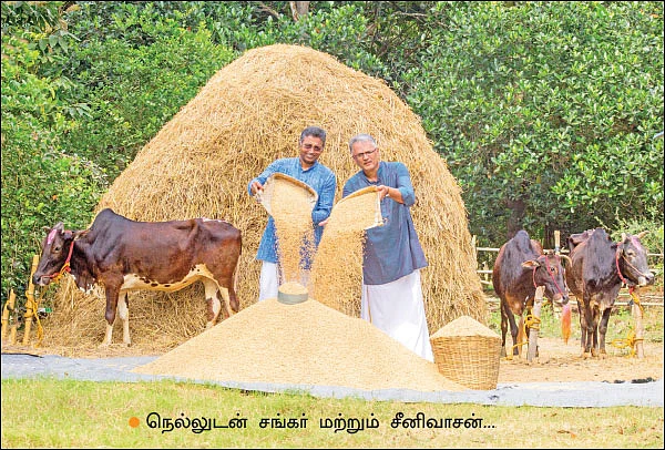 14 ஏக்கர் நெல் சாகுபடி... ஆண்டுக்கு 6,60,000 ரூபாய் லாபம்!