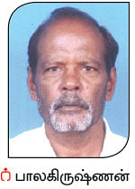 நீங்கள் கேட்டவை: வீட்டுத் தோட்டத்துக்கு ஏற்ற சிறகு அவரைக்காய்!
