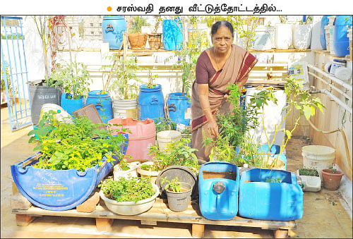 வீட்டுக்குள் விவசாயம் - 2