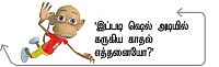 நாவல் மரம்