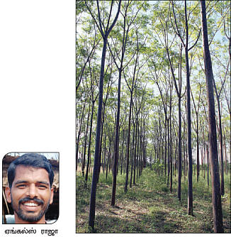 நீங்கள் கேட்டவை