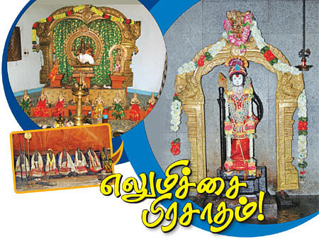 எலுமிச்சை பிரசாதம்!