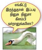 ஹே... ஹே... ஐ... ஐ... ஆய்... ஆய்!