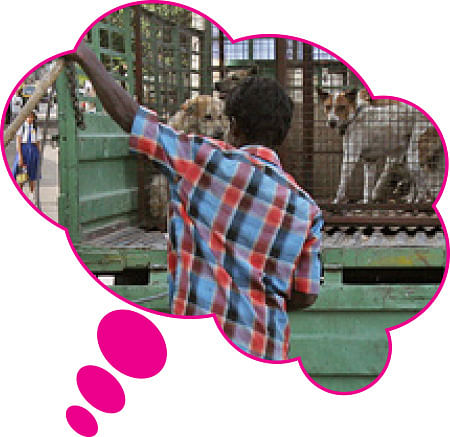 உங்க கனவுல உப்பு இருக்கா?