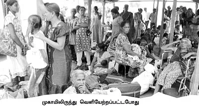 புலித்தடம் தேடி...