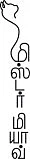 மிஸ்டர் மியாவ்