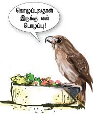சேமிப்புல நாங்கதான் கில்லி !