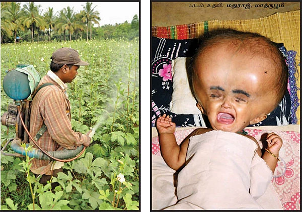 மனித கொல்லிகள்!