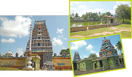 ஆரோக்கியம் அருளும் ஆலய விருட்சங்கள்!