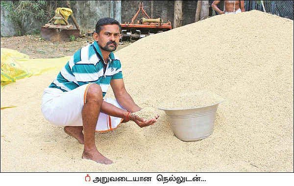 இயற்கை எரிவாயுக் கழிவில் செழிக்கும் நெல் விளைச்சல்... இது கதிராமங்கலம் சாதனை!