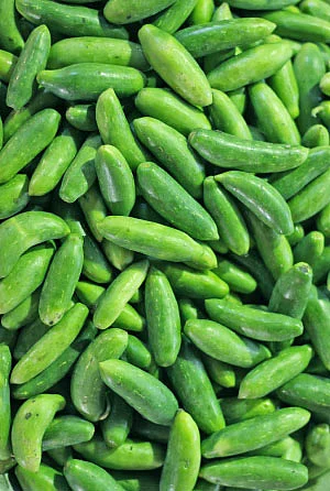 இயற்கை டாக்டர்