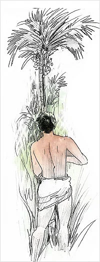 ஃபாதியா - சிறுகதை