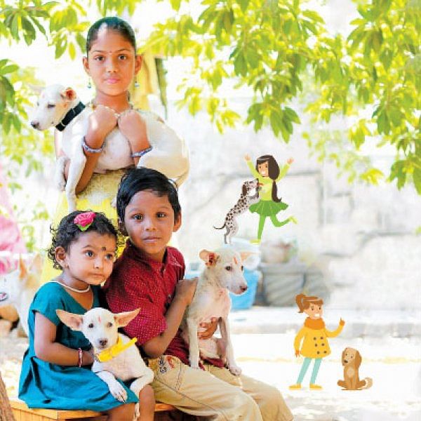 செல்லமே செல்லம்! - செல்லப் பிராணிகளை வளர்க்கச் சில குறிப்புகள்