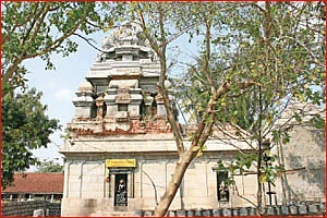 தேவாரத் திருவுலா!