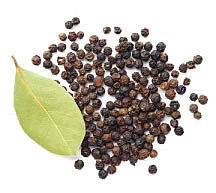 ஆறாம் திணை
