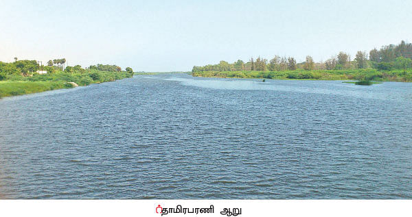 மரத்தடி மாநாடு: உச்சத்தில் கொப்பரை விலை... விவசாயிகள் மகிழ்ச்சி!