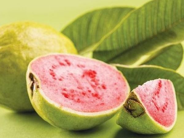 புற்றுநோய் தடுக்கும், எதிர்ப்புச் சக்தி தரும், பார்வைத்திறன் மேம்படுத்தும்... கொய்யா! #Guava