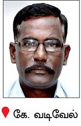 நீங்கள் கேட்டவை : வாத்து வளர்ப்பு லாபம் தருமா..? 