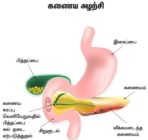 இனி எல்லாம் சுகமே - 16