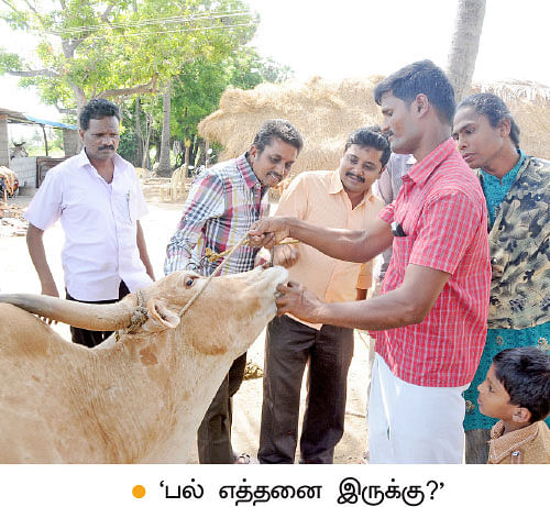 ’ஒரு நாள் விவசாயி!’