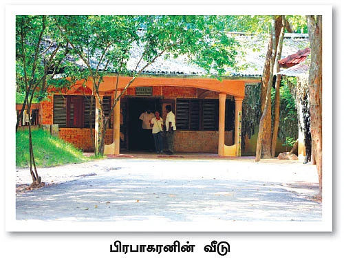 புலித்தடம் தேடி...