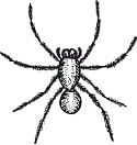 வீரயுக நாயகன் வேள்பாரி - 38