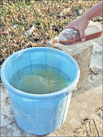 சின்னச் சின்ன நுண்ணுயிர்கள் பெரிய பெரிய லாபம்! - உதவிக்கு வரும் உயிரியல் -2