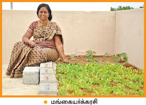 வீட்டுக்குள் விவசாயம் - 16