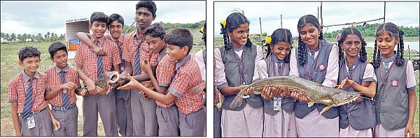 மீன்களும் நாங்களும்...