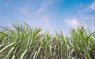 நீங்கள் கேட்டவை