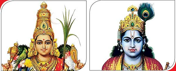 ஸ்ரீகாமாட்சியும் ஸ்ரீகிருஷ்ணரும்தான் எனக்கு எல்லாமே..!