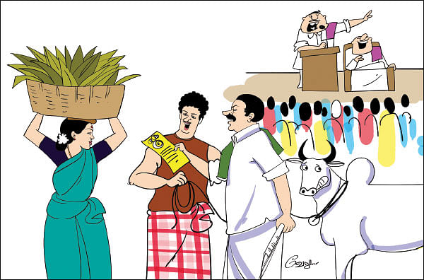 மான்களுக்குப் பசுந்தீவனம் வனத்துறை முயற்சி!