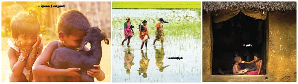 கேமரா காவியம்!
