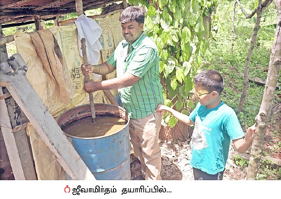 வாரம் 25 ஆயிரம் ரூபாய்.... மலைவாழை, கத்திரி, மிளகாய், கீரைகள்...