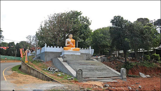 புலிகளின் தொடர்ச்சியாக இருப்பதற்கு நீங்கள் புலிகளாக இருக்க வேண்டும்
